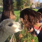 Profile Picture of Kate Rasmussen (@kate.rasmussen.10) on Instagram