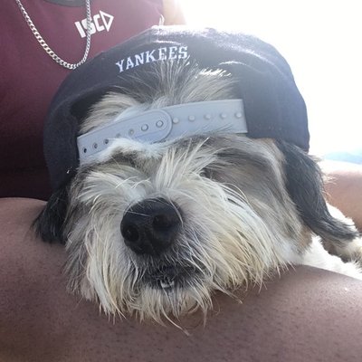 Alexia Jacobs - Twitter Profile Picture of Alexia Jacobs (@AlexiaJacobs13) on Twitter