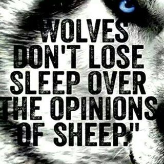 Profile Picture of Karl Burroughs (@Karl-Burroughs) on Facebook