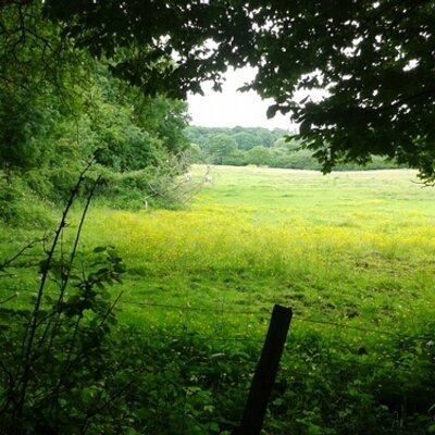 Profile Picture of Robins Nest (@AmyRoper7) on Twitter