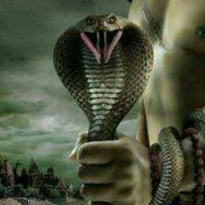 Profile Picture of Tarsem Singh (@tarsemsingh6310) on Twitter