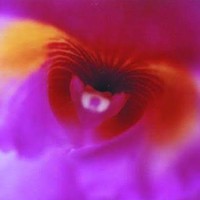 Profile Picture of Iris Turner (@iris-turner-6) on Quora