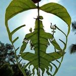 Profile Picture of Pratik Pandya 🔰 (@pratik_pandya_official) on Instagram