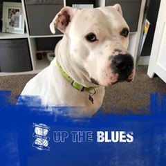 Profile Picture of Brett Briggs (@@brettbriggs) on Tiktok