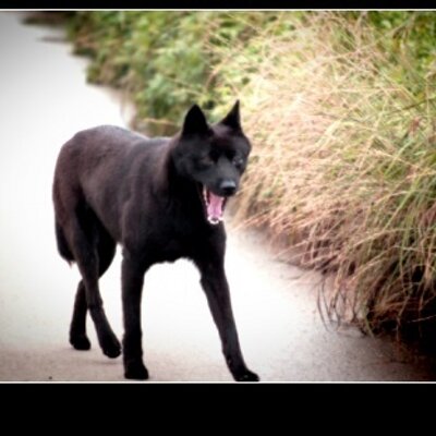 Profile Picture of Kam Jeong Woo (@flykam1) on Twitter