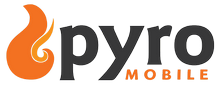 Profile Picture of Pyro Studioson Wikipedia
