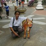 Profile Picture of Prakrong Chongvarin (@prakrongchongvarin) on Instagram