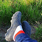 Profile Picture of Alvin Lee (@alvincoding) on Flickr