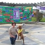 Profile Picture of Nancy Ballantyne (@nancyballantyne1684) on Instagram