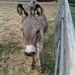Profile Picture of Blake Walters (@blake8691) on Pinterest