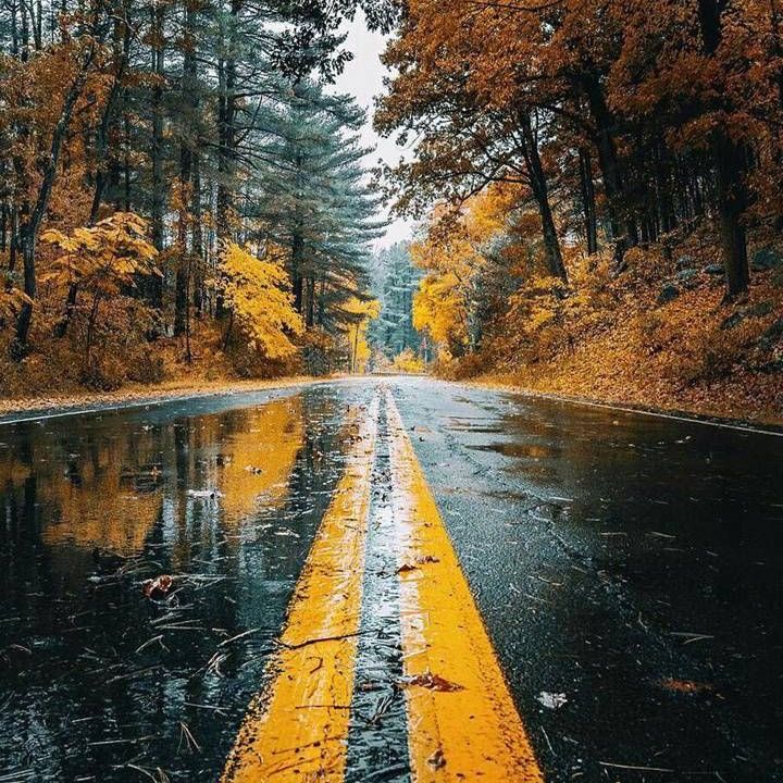 Profile Picture of Jackson_holt.08 (@jackson_holt.08) on Tiktok