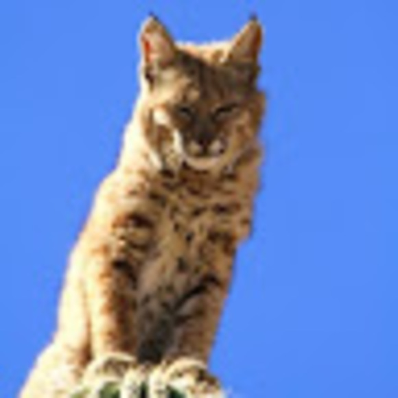 Profile Picture of Ashton Moraski (@ashtonmoraski) on Poshmark