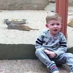 Profile Picture of Jo Pickering (@pickering2985) on Instagram