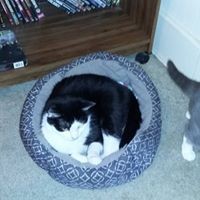 Profile Picture of Rose Monroe (@rose-monroe-16) on Quora