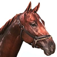 Profile Picture of Eric Seaborg (@eric-seaborg) on Quora