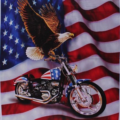 Profile Picture of Randy Jansen (@RagedyRandy) on Twitter