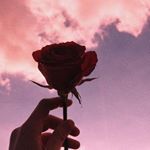 Profile Picture of Lisa Marie Goltsch (@goltschlisamarie) on Instagram