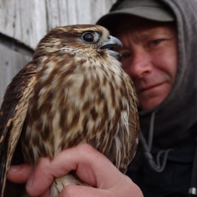 Profile Picture of Shaun Micklewright (@SmicklShaun) on Twitter