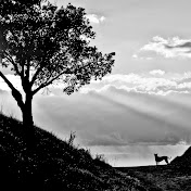 Profile Picture of Miriam Geer (@miriamgeer16) on Youtube