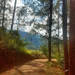 Profile Picture of Bradley Arma (@bradley.arma) on Facebook