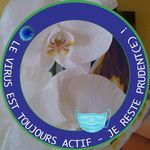 Profile Picture of Celine Chloe Kevin (@violette.rosiers) on Instagram