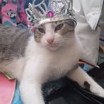 Profile Picture of Clarissa Corral (@Clarissa-Corral) on Facebook