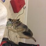 Profile Picture of Matthew Nicoletti (@matthew.nicoletti) on Instagram