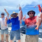 Profile Picture of patatat (@pat_womack) on Instagram