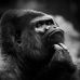 Profile Picture of Wayne Mc Donough (@wayne.mcdonough.186) on Facebook