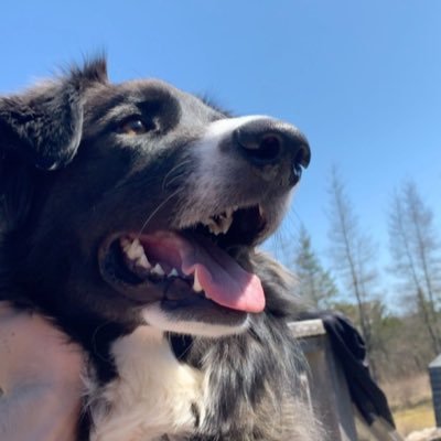 Profile Picture of Matt Fudge (@fattmudge) on Twitter