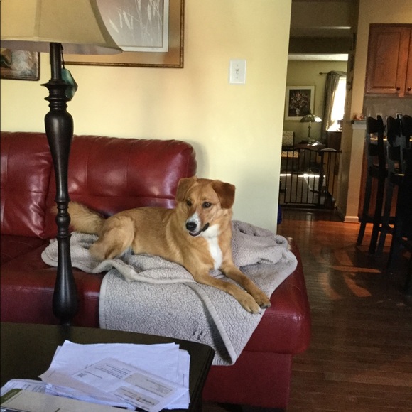 Profile Picture of Ellen Pietanza (@epietanza81) on Poshmark