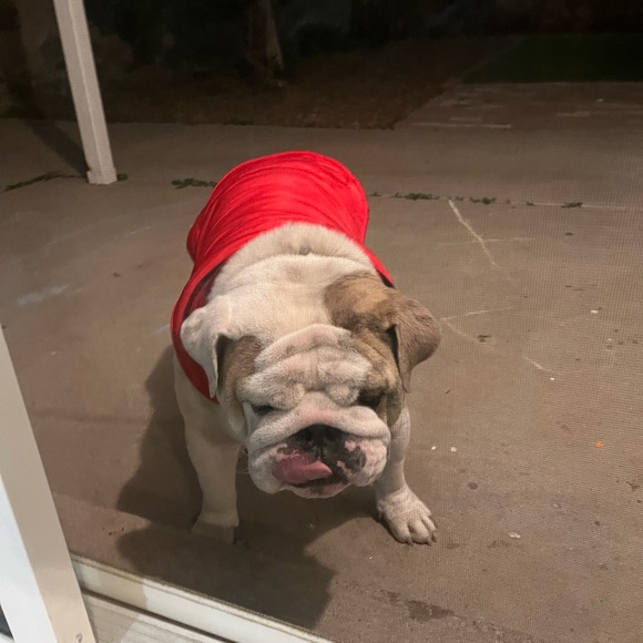 Profile Picture of David Mendoza (@davidmendoza1) on Poshmark