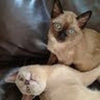 Profile Picture of Nancy Albrecht (@nancy-albrecht-17) on Quora