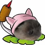 Profile Picture of Kiri Chesse (@kirshima112) on Facebook