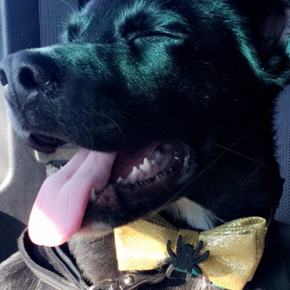 Profile Picture of Maria Silva (@msilva334) on Poshmark