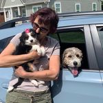 Profile Picture of Ken Craig (@abbythebernedoodle2023) on Instagram