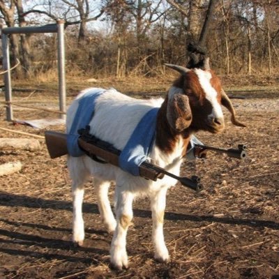 Profile Picture of FrostMan (@RealFrostyJay) on Twitter
