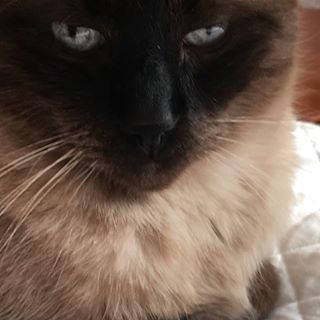 Profile Picture of Assunta Santillo (@assunta.santillo.54) on Facebook