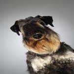 Profile Picture of Stephen_Tyson (@stephen_tysonv) on Instagram