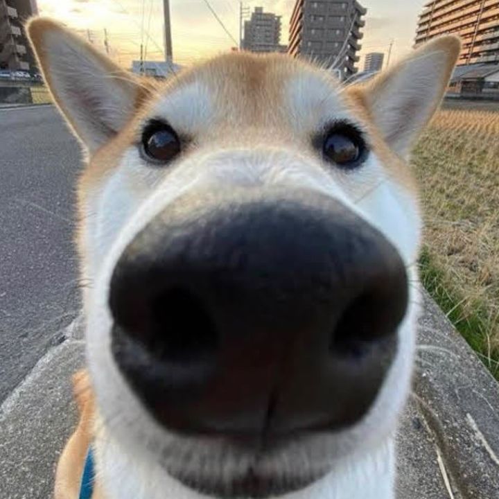Profile Picture of jeremy (@@germsmcgee) on Tiktok