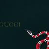 Profile Picture of Dee Christophe (@@deechristophe) on Tiktok