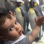 Profile Picture of Damien Pearson (@damien_pearson) on Instagram