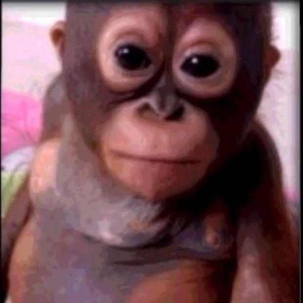 Profile Picture of DAVE (@davida.hill) on Tiktok