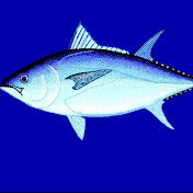 Profile Picture of Ahmad Iqbal (@AhmadIqbal-n9j) on Youtube