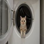 Profile Picture of James Moore (@tagantsevatotino) on Instagram