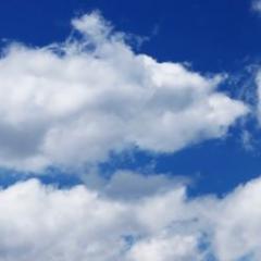 Profile Picture of Eric ☁️☁️☁️ (@CumulusClaude) on Twitter