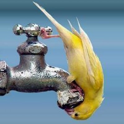 Profile Picture of Victoria M Lilley (@@victoriamlilley) on Twitter