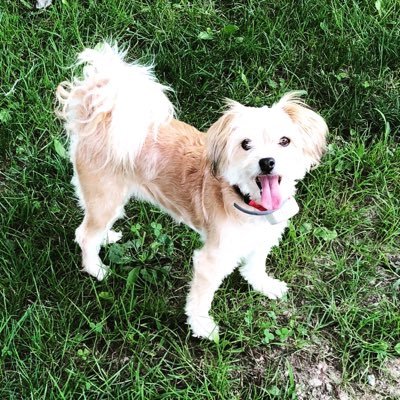 Profile Picture of Matthew Longoria (@MatthewLongor19) on Twitter