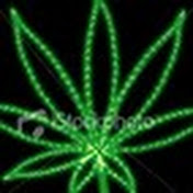 Profile Picture of Quinton Wright (@quintonwright2022) on Youtube