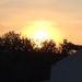 Profile Picture of Patti Ann (@kropp73) on Pinterest